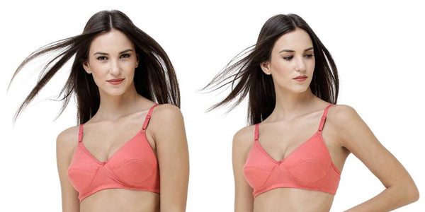 FEMULA Monika T-Shirt Lightly Padded Bra for Women & Girls ( Pack of 2Pcs, Gajari Colour )