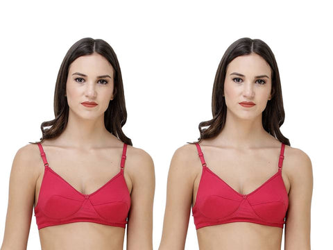 FEMULA Monika T-Shirt Lightly Padded Bra for Women & Girls ( Pack of 2Pcs, Magenta Colour )